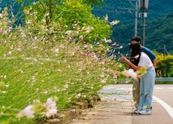 메인사진