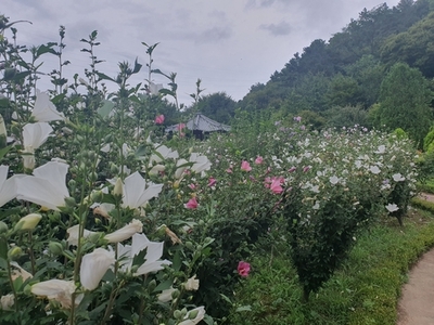 메인사진